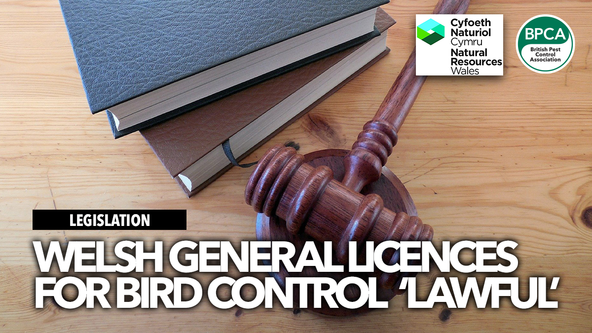 welsh-general-licences-lawful welsh-general-licences-lawful